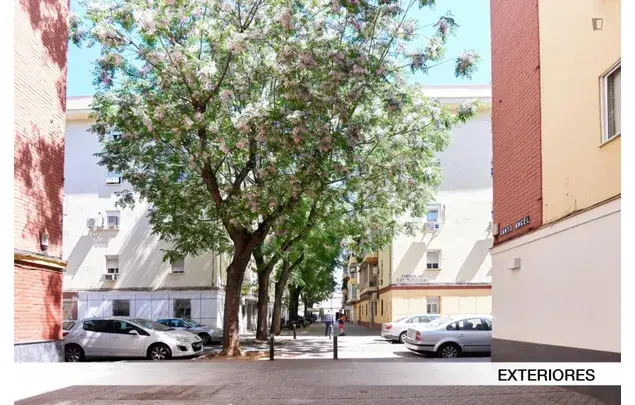 Alquiler Apartamento 3 Dormitorios Sevilla Estudiantes