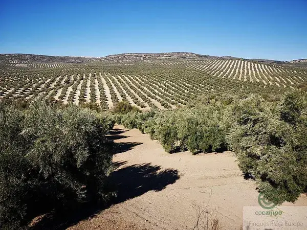 Finca Rustica en Venta cerca de Caceres 435ha
