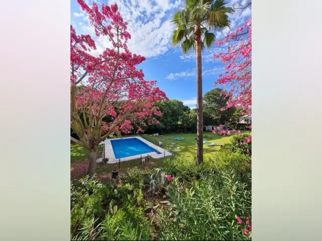 Apartamento 2 Dormitorios Nueva Andalucia Marbella