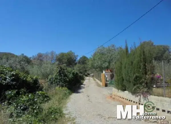 Terreno Rustico en Algimia de Alfara cerca de Valencia