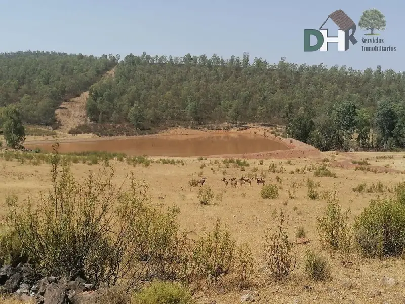 Venta Finca Rustica Caza Badajoz 373 Has