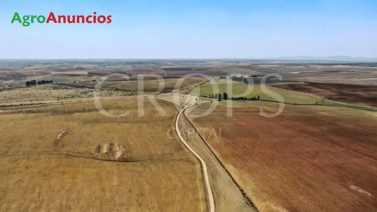 Venta  de Finca agrícola con instalaciones en Badajoz