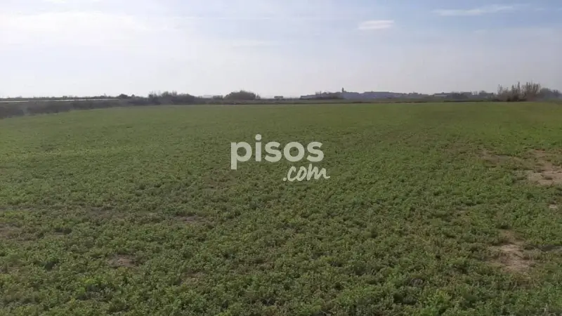 Finca Rustica en Venta cerca de Els Arcs