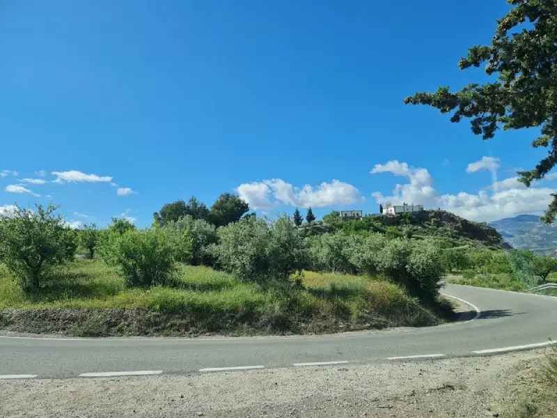 Venta Finca Mairena Almendros