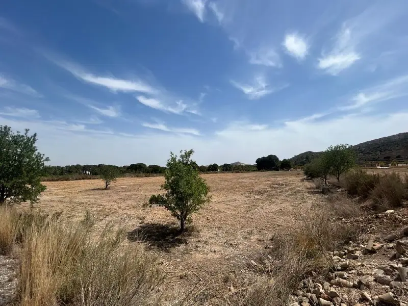 Venta Parcela La Ofra Aspe Ref 3657