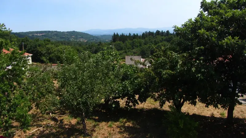 Finca/Casa Rural en venta en Pantón, Lugo
