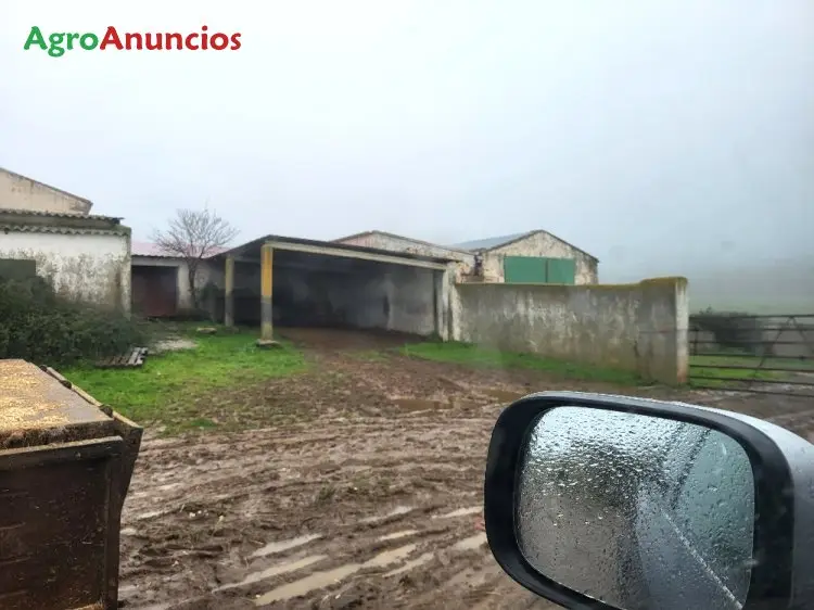 Venta  de Finca ganadera en Salamanca