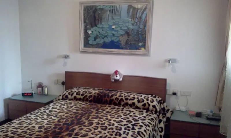 Venta Piso Centro Elche 2 Dormitorios Buen Estado