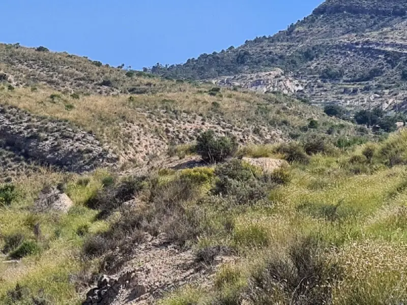 Venta Parcela Vistas Espectaculares Crevillent