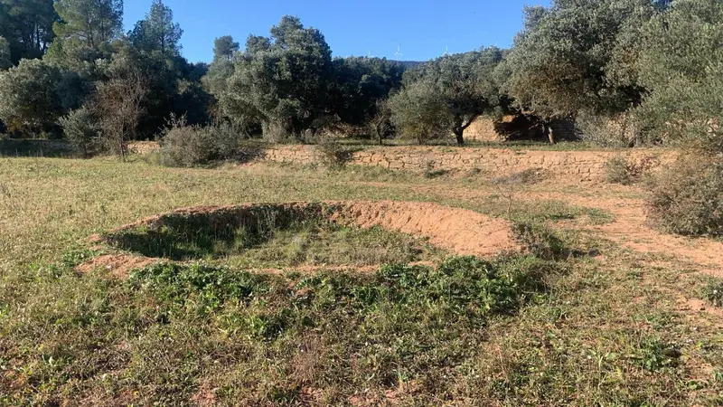 Terreno Rustico en Asco Tarragona