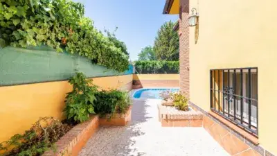 Chalet con Piscina en Vegas del Genil Dos Viviendas Independientes