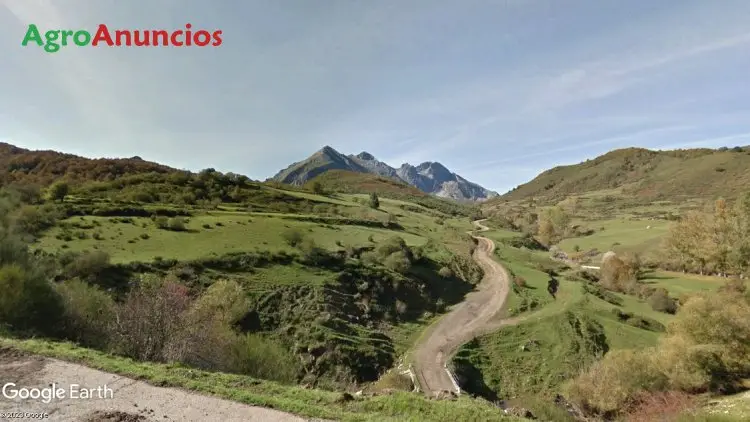 Venta  de Finca agropecuaria en León