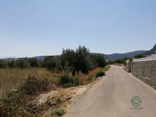 Parcela Rustica en Orba Alicante 3500m2