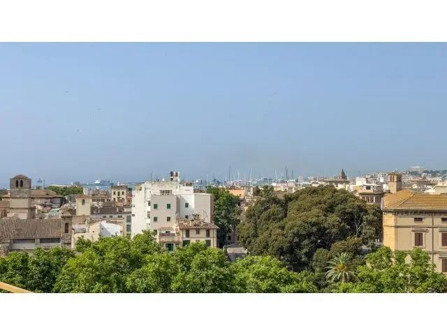 Atico con Terraza en Palma Centro