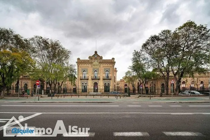 Alquiler Piso Estudiantes Nervion Sevilla