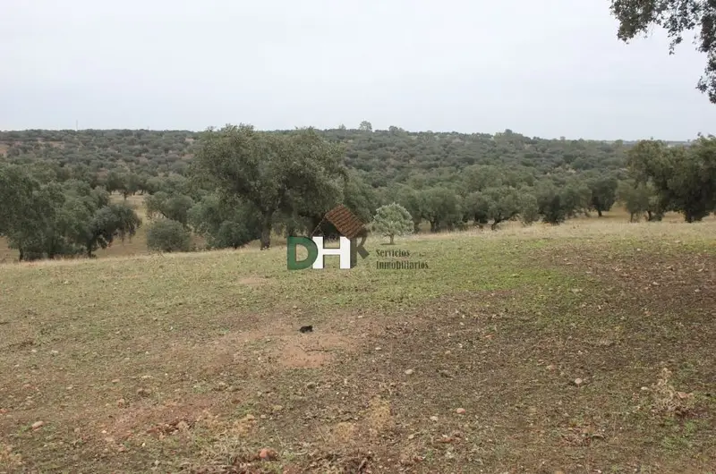 Venta Finca Rustica 450 Hectareas Badajoz Ganaderia Caza