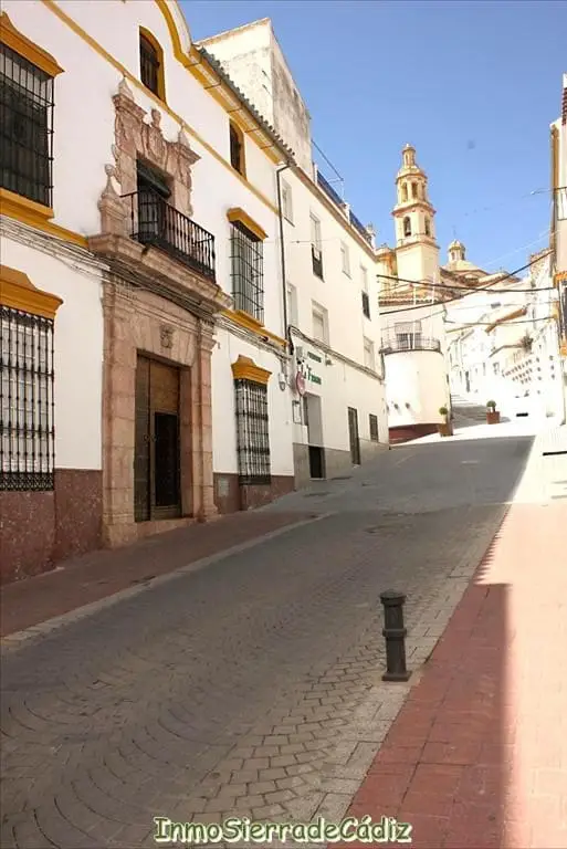 Palacete en Olvera  8 Dormitorios  659m2  Histórico