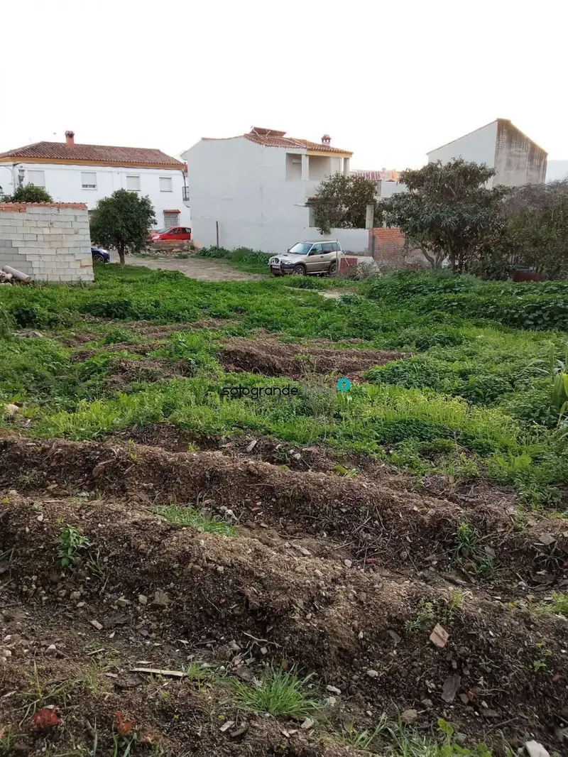 Venta Finca Rustica Secadero Casares 4500m2