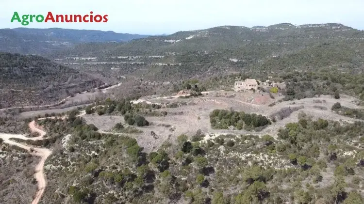 Venta  de Finca agricola y forestal con gran masia en Barcelona