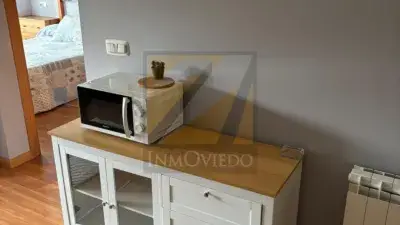 Apartamento en Alquiler Oviedo Pumarin Teatinos 1 Dormitorio