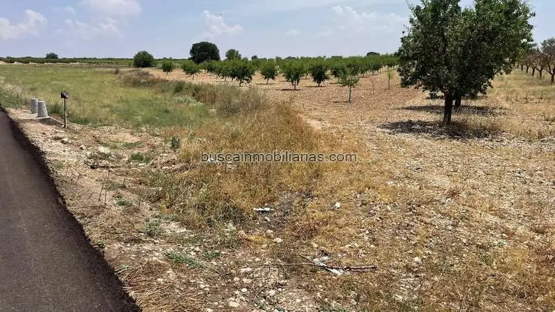 Parcela Rustica en Venta Mahora 13235m2