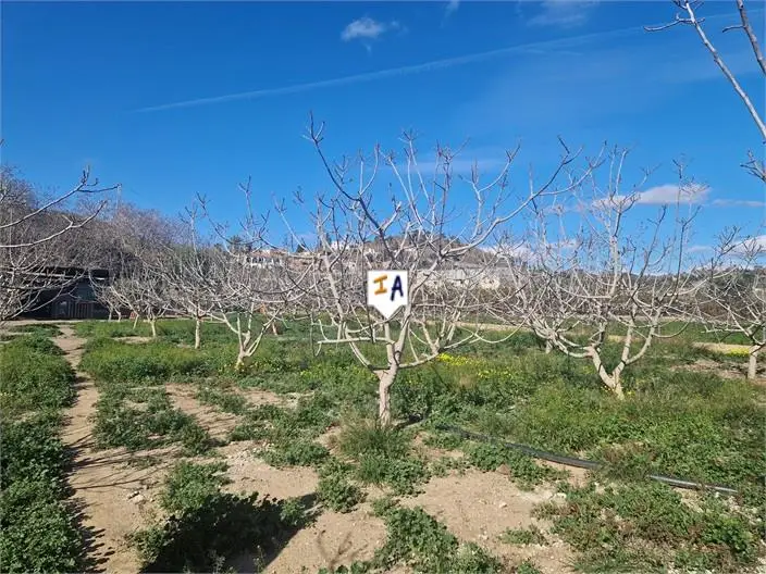 Terreno en Venta Almayate Bajo: Paraiso Costero