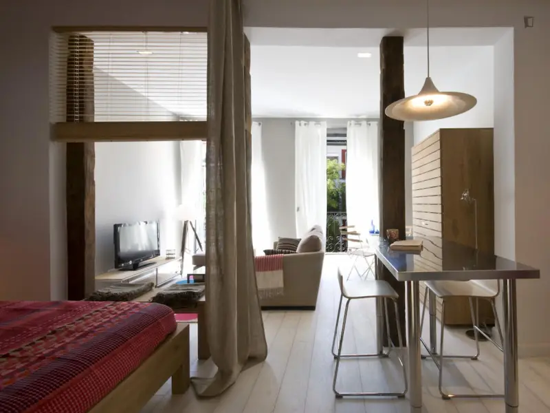 Apartamento con Encanto Cerca de Universidades en Madrid