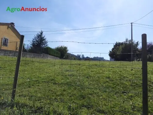 Venta  de Finca rustica en Asturias