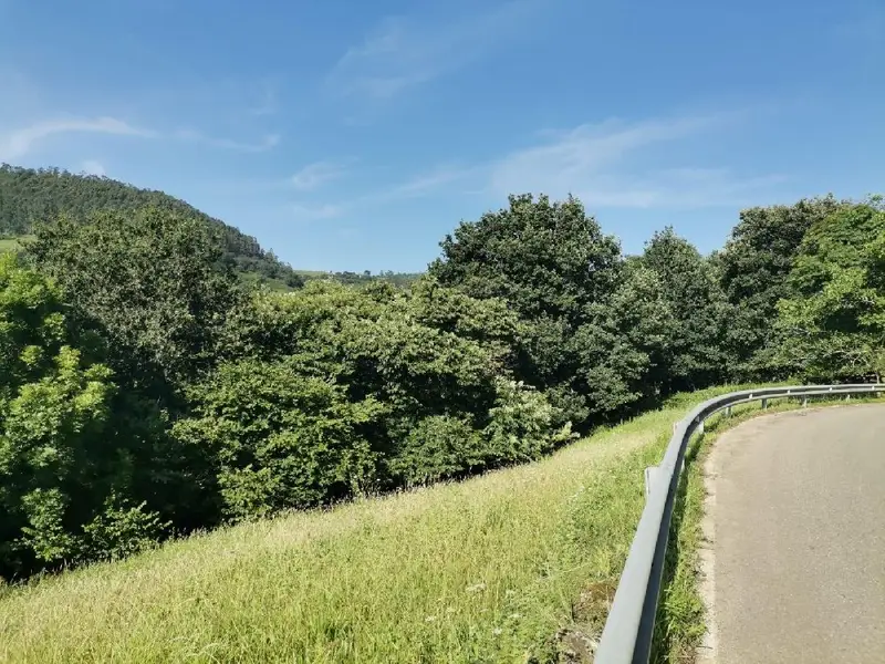 Venta Terreno Lloreda Santa Maria de Cayon