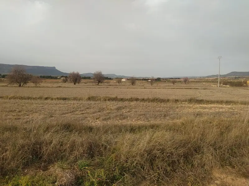 Venta Terreno El Hondo Almansa Chalet 18000m2