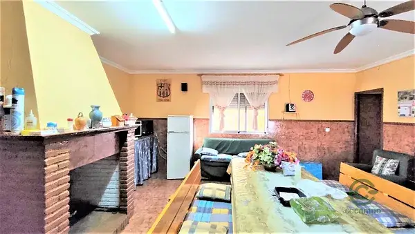 Finca Rustica con Viña y Olivos en Ciudad Real
