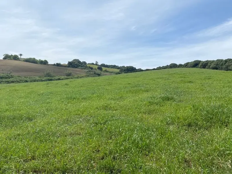 Venta Terreno con Vistas en Abejaruco Vejer de la Frontera