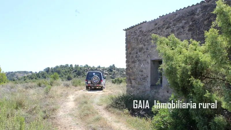 Finca Rustica 4 Hectareas Maella Zaragoza