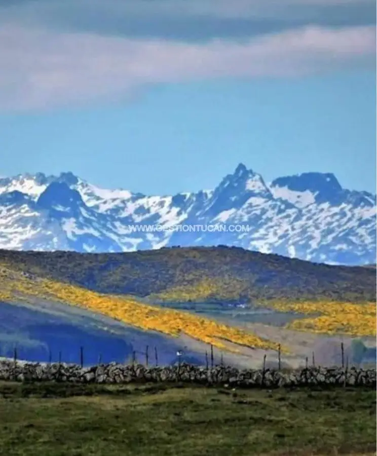 Venta Finca Candeleda 10000m2  Instalaciones Ganaderas