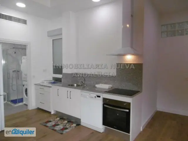 Alquiler Piso Ascensor Centro 54m2 2 habitaciones