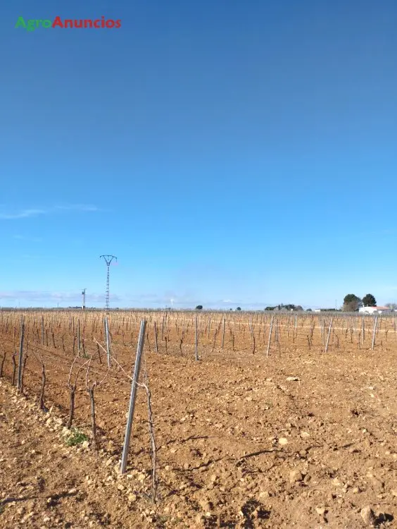 Venta  de Finca de regadío en Albacete