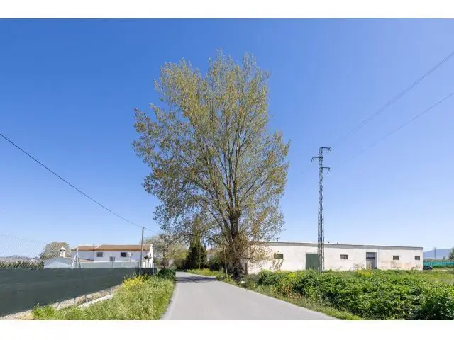 Casa Cortijo con Finca de 90 Marjales en La Granada