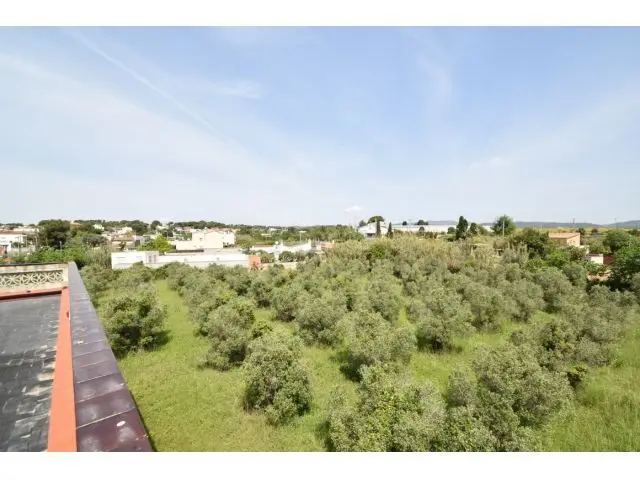 Finca con Casa en La Collada 8000m2