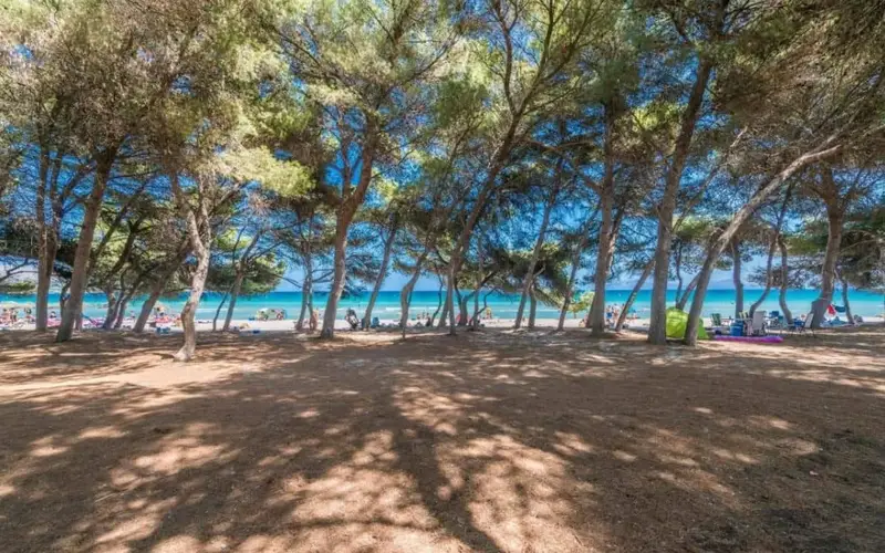 Chalet en Alc	dia Mallorca con Licencia Tur	tica