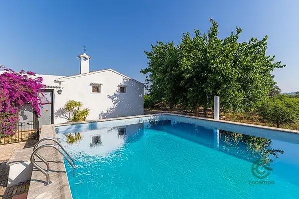 Finca Rustica con Casa y Plantacion de Caquis cerca de Alzira