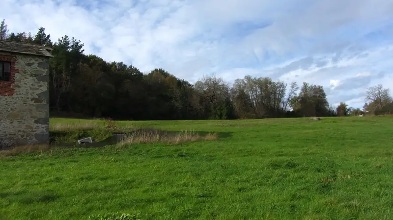 Finca Rustica con Casa de Piedra en Venta en Pantón Lugo