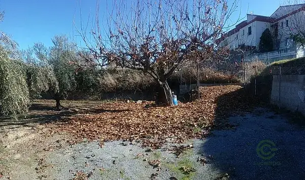 Finca Rustica La Zubia Granada 3597m2 Olivos Nogales Almendros