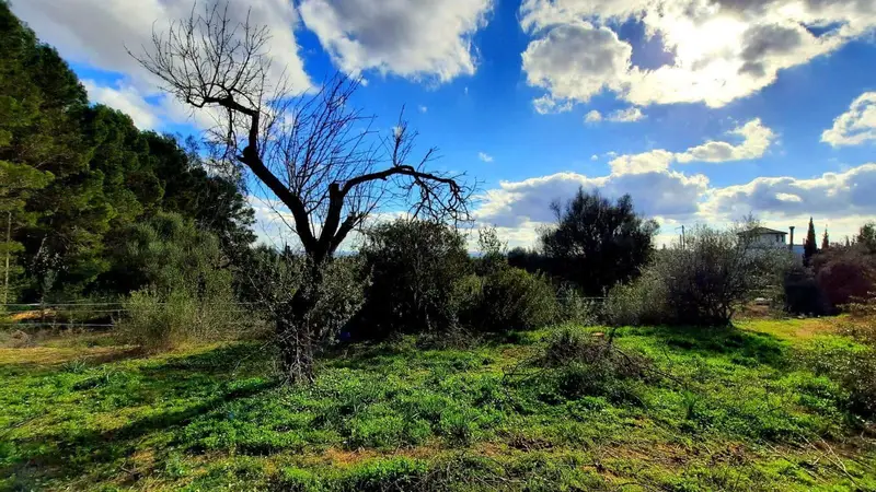 Finca Rustica en Venta Binissalem Mallorca