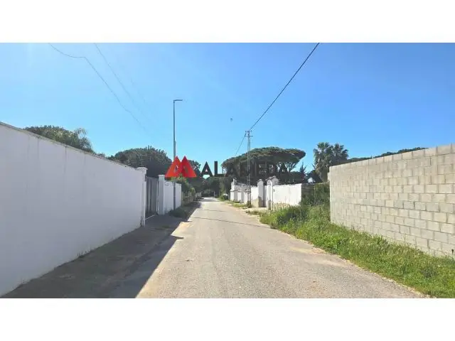 Parcela Segregada El Sotillo 4750m2 Chiclana