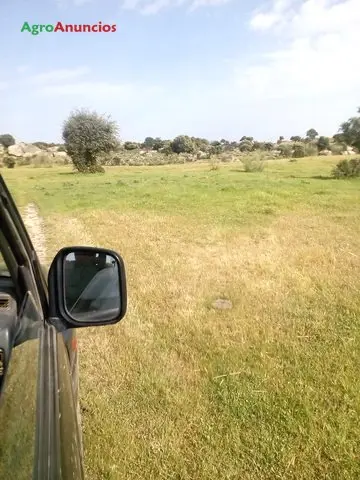 Venta  de Finca con casa y cebaderos en Cáceres