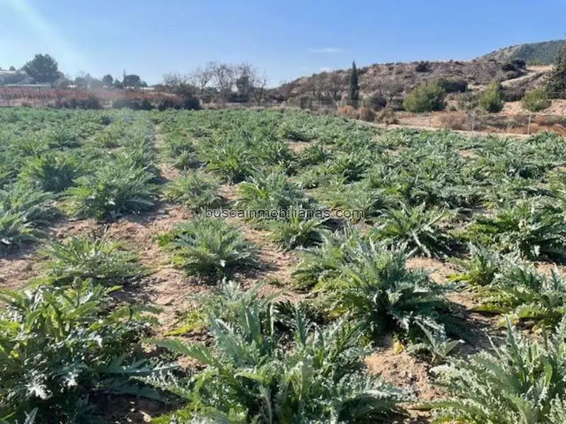 Parcela Rustica en Venta Totana 4673m2 Regadio