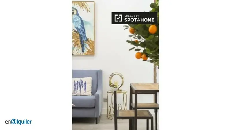Apartamento Salamanca 2 Dormitorios Estiloso