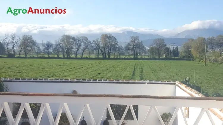 Demanda  de Finca ganadera en Ciudad Real