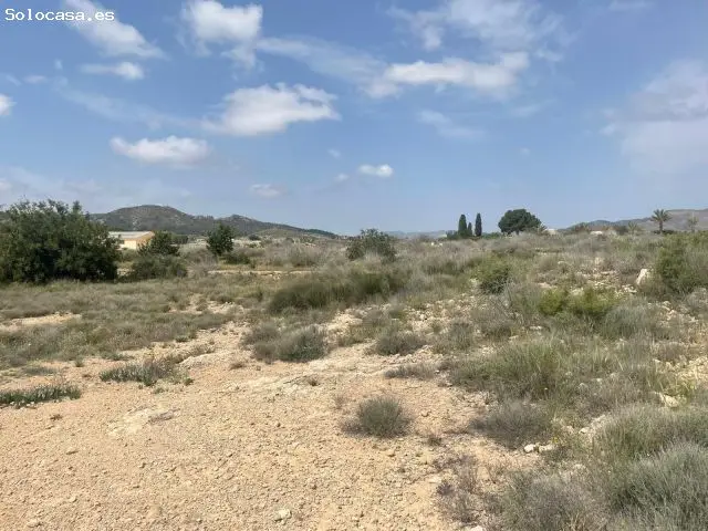 Terreno en Venta Novelda Horna Baja 15500m2