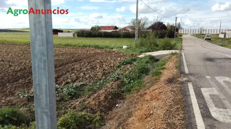 Venta  de Finca de regadío en Zamora